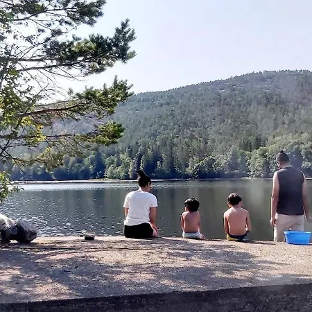 Modern In Nature Apartman *