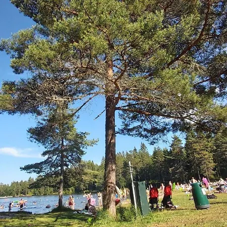 Modern In Nature Apartman *